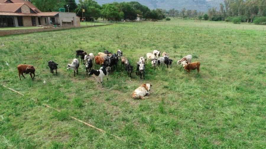 6 Bedroom Property for Sale in Remhoogte AH North West